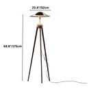 Cane Floor Lamp