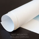 Flight to Nowhere - Limited Edition Canvas Print