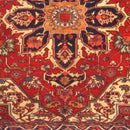 Canvello Decorative Velvet Throw Pillow - 16"X 16"