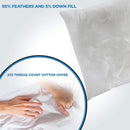Canvello Handmade Decorative Black White Down Feather Pillow - 16"X24"