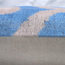 Canvello Luxurious Blue Velvet Throw Pillows - 20x20