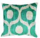 Canvello Throw Luxury Velvet Green Pillow | 16 x 16 in (40 x 40 cm)