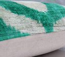 Canvello Throw Luxury Velvet Green Pillow | 16 x 16 in (40 x 40 cm)