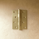 Cardo Heavy-Duty Door Hinge