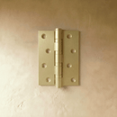 Cardo Heavy-Duty Door Hinge
