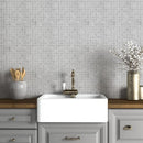 Carrara T Honed 1x1 Marble Mosaics 12x12