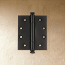 Carvin Door Hinge