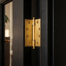 Carvin Door Hinge