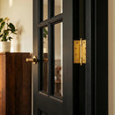 Carvin Door Hinge