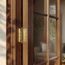 Carvin Door Hinge