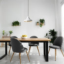 Cassius Pendant Light