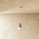 Castanea Pendant Light