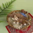Dog and Cat Magnet Needle Felting Kit