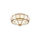 Catlus Ceiling Light