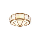 Catlus Ceiling Light