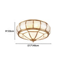 Catlus Ceiling Light