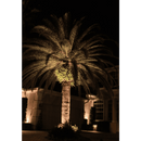 CD30 30W Low Voltage LED Outdoor Spotlight Directional Narrow Beam Angle