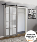 Felicia 3312 Ginger Ash Barn Door with 12 Lites Frosted Glass and Black Rail