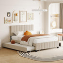 Queen Size Velvet Upholstered Platform Bed with 2 Drawers and 1 Twin XL Trundle- Beige