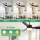 Ceiling Fans Modern with Light, Reversible Motor, and ABS Blades