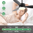 Ceiling Fans Modern with Light, Reversible Motor, and ABS Blades
