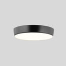 Viyan Ceiling Light