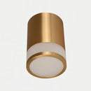Tzira Ceiling Light