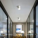Tzira Ceiling Light