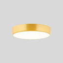Viyan Ceiling Light