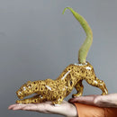 Ceramic animal flowerpot leopard garden plant decor