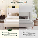Queen Size Upholstered Bed Frame With LED Lights And USB