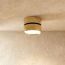 Chamani Downlight