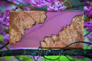 12 Color Bundle of Epoxy Resin Dyes