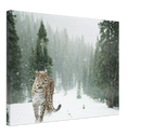 Cheetah In Snow - Print
