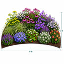 Chic & Shady Live Plant Landscape Kit | Prairie Legacy Inc.