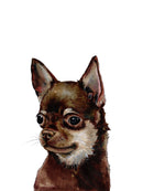 The Chihuahua - Open Edition Paper Print