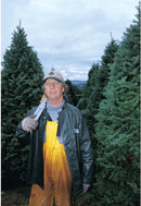 Real Christmas Trees Delivered 6 Foot Premium Balsam Fir Christmas Tree