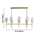 Cilona Chandelier