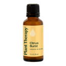 Citrus Burst Essential Oil Blend