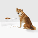 Medium White Bowl Feeder