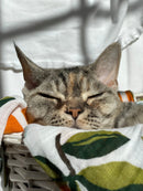 Mandarin Citrus Clementines Muslin Blanket - Vintage Baby Blanket