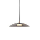 Clippy Pendant Light