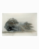 Misty Trees 2