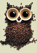 Coffee Owl WD242 7.9 x 11.8 inches Wizardi Diamond Painting Kit