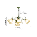 Colasa Chandelier