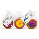 Color Me Crazy Soap Bar | 3 oz | Whale Tale Soapworks