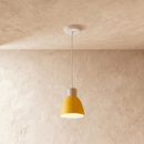 Colorato Pendant Light