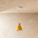 Colorato Pendant Light
