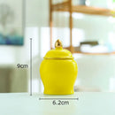 Colorful ceramic storage jar with gold lid kitchen tea caddy
