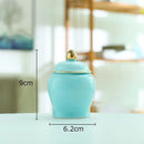 Colorful ceramic storage jar with gold lid kitchen tea caddy